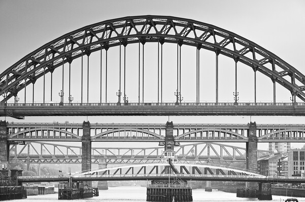 Bridges Over the River Tyne at Newcastle upon Tyne Picture Board by Martyn Arnold