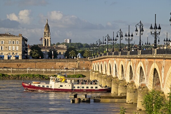 Bordeaux Cityscape River Garonne Picture Board by Martyn Arnold