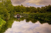 Click to show how this picture will look as a piece of wall art