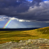 Buy canvas prints of Rainbow over Yorkshire Moors - Tann Hill by Martyn Arnold
