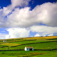 Buy canvas prints of Barns in Landscape North Pennines by Martyn Arnold