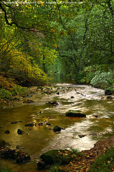 Woodland Stream in Autumn Picture Board by Martyn Arnold