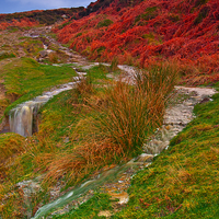 Buy canvas prints of After the Rain - Moorland Streams by Martyn Arnold