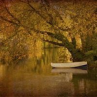 Buy canvas prints of Boat on Quiet River by Martyn Arnold