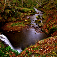 Buy canvas prints of Blow Gill North York Moors by Martyn Arnold