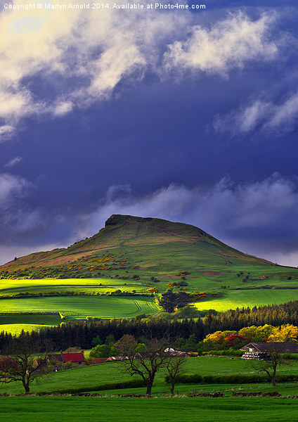 Roseberry Topping North Yorkshire Picture Board by Martyn Arnold