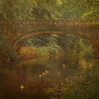 Buy canvas prints of Bridge over the Stream by Martyn Arnold