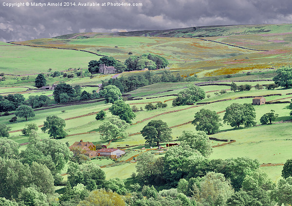 Swaledale near Reeth in the Yorkshire Dales Picture Board by Martyn Arnold
