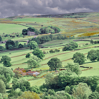 Buy canvas prints of Swaledale near Reeth in the Yorkshire Dales by Martyn Arnold