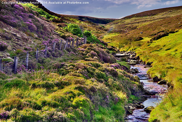 Moorland Stream in the Yorkshire Dales Picture Board by Martyn Arnold