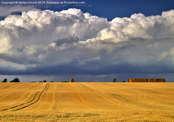 Majestic Harvest Skies Picture Board by Martyn Arnold