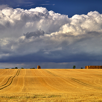 Buy canvas prints of Majestic Harvest Skies by Martyn Arnold
