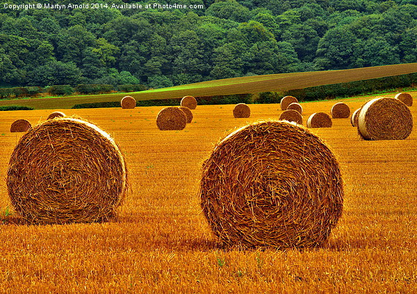 Autumn Hay Bales  Picture Board by Martyn Arnold