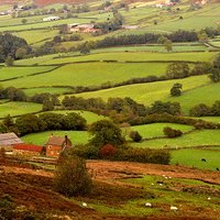 Buy canvas prints of  Danby Dale  North York Moors by Martyn Arnold