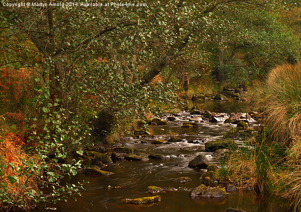 Yorkshire Moors Stream in Autumn Picture Board by Martyn Arnold