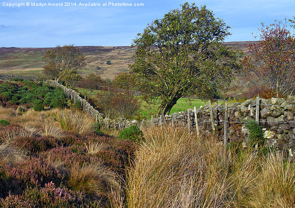 Yorkshire Moors Scenery in Autumn Picture Board by Martyn Arnold