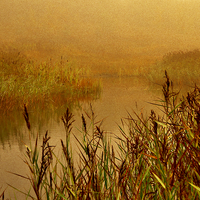 Buy canvas prints of  Misty Autumn Morning by Martyn Arnold