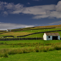 Buy canvas prints of  Stone Barns and Walls in Teesdale on Pennine Way by Martyn Arnold