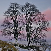 Buy canvas prints of Winter Wonderland Amidst the Snowy Pennines by Martyn Arnold