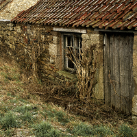 Buy canvas prints of  Derelict farm buildings - Northumberland by Martyn Arnold