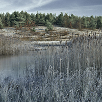 Buy canvas prints of  Frosty Morning by Martyn Arnold