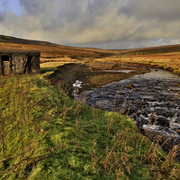 Buy canvas prints of  Durham Dales Stream by Martyn Arnold