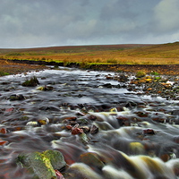 Buy canvas prints of  Langdon Beck - Teesdale Durham Dales by Martyn Arnold