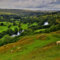 Buy canvas prints of  English Dales Landscape by Martyn Arnold
