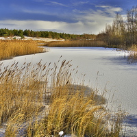 Buy canvas prints of  Frozen Pond - Fishburn Co.Durham by Martyn Arnold