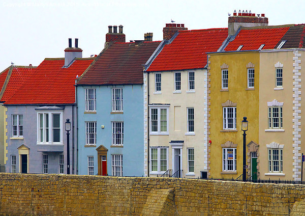  Hartlepool Headland Houses Picture Board by Martyn Arnold