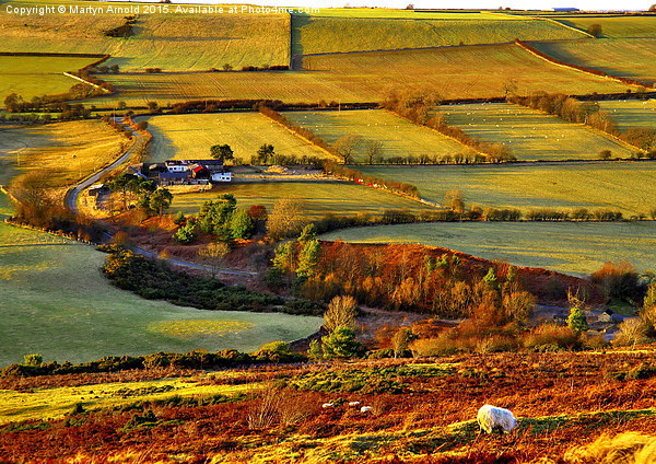  Evening Light at Hedleyhope Fell County Durham Picture Board by Martyn Arnold
