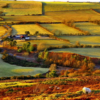 Buy canvas prints of  Evening Light at Hedleyhope Fell County Durham by Martyn Arnold