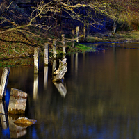 Buy canvas prints of  Wood and Water by Martyn Arnold