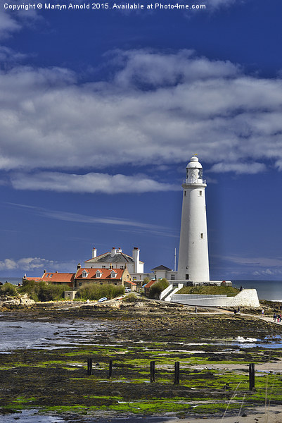  St. Mary's Lighthouse  Whitley Bay - Portrait Picture Board by Martyn Arnold