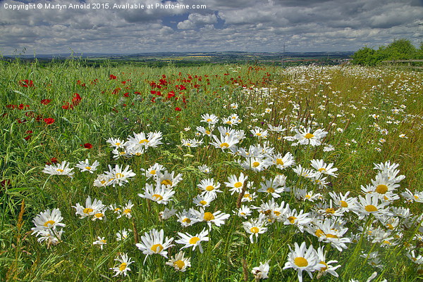 Summer Fields in County Durham Picture Board by Martyn Arnold