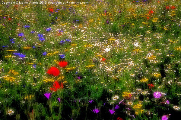  Dreamy Wildflowers Picture Board by Martyn Arnold