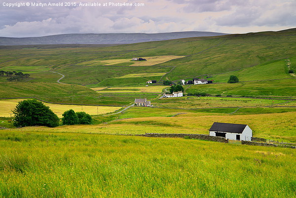 Charming Hamlets of Teesdale Picture Board by Martyn Arnold