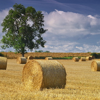 Buy canvas prints of Haybales at Harvest Time by Martyn Arnold