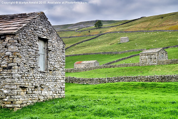 Yorkshire Dales Stone Barns at Muker Picture Board by Martyn Arnold