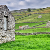 Buy canvas prints of Yorkshire Dales Stone Barns at Muker by Martyn Arnold