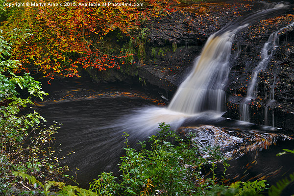  Hamsterley Forest waterfall in Autumn Picture Board by Martyn Arnold