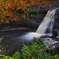 Buy canvas prints of  Hamsterley Forest waterfall in Autumn by Martyn Arnold