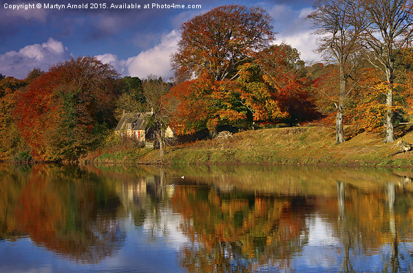  Autumn on the River Tyne at Hexham Picture Board by Martyn Arnold