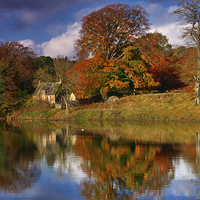 Buy canvas prints of  Autumn on the River Tyne at Hexham by Martyn Arnold