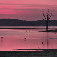 Buy canvas prints of  Rutland Water Before Sunrise by Martyn Arnold
