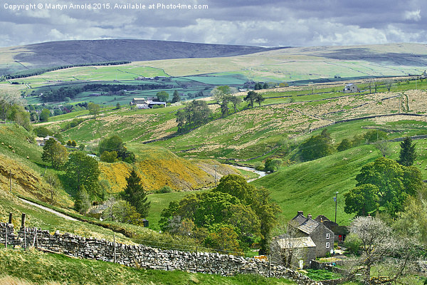 Durham Dales Countryside - Weardale Picture Board by Martyn Arnold