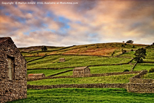 Swaledale Stone Barns and Walls Picture Board by Martyn Arnold