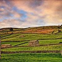 Buy canvas prints of Swaledale Stone Barns and Walls by Martyn Arnold