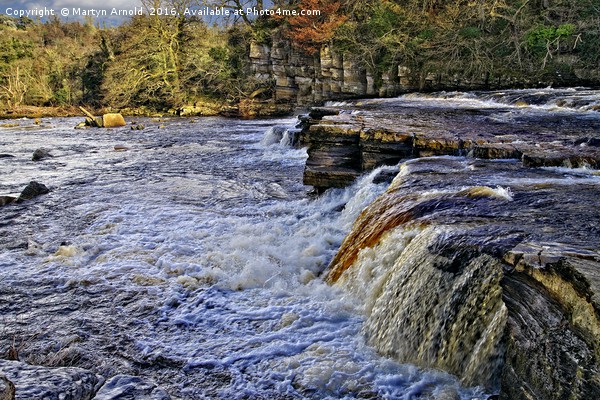 River Swale at Richmond Yorkshire Picture Board by Martyn Arnold