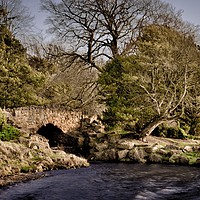 Buy canvas prints of Bridge on the Lake by Martyn Arnold